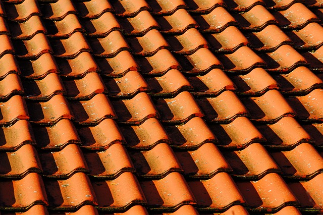 steel roofing brisbane